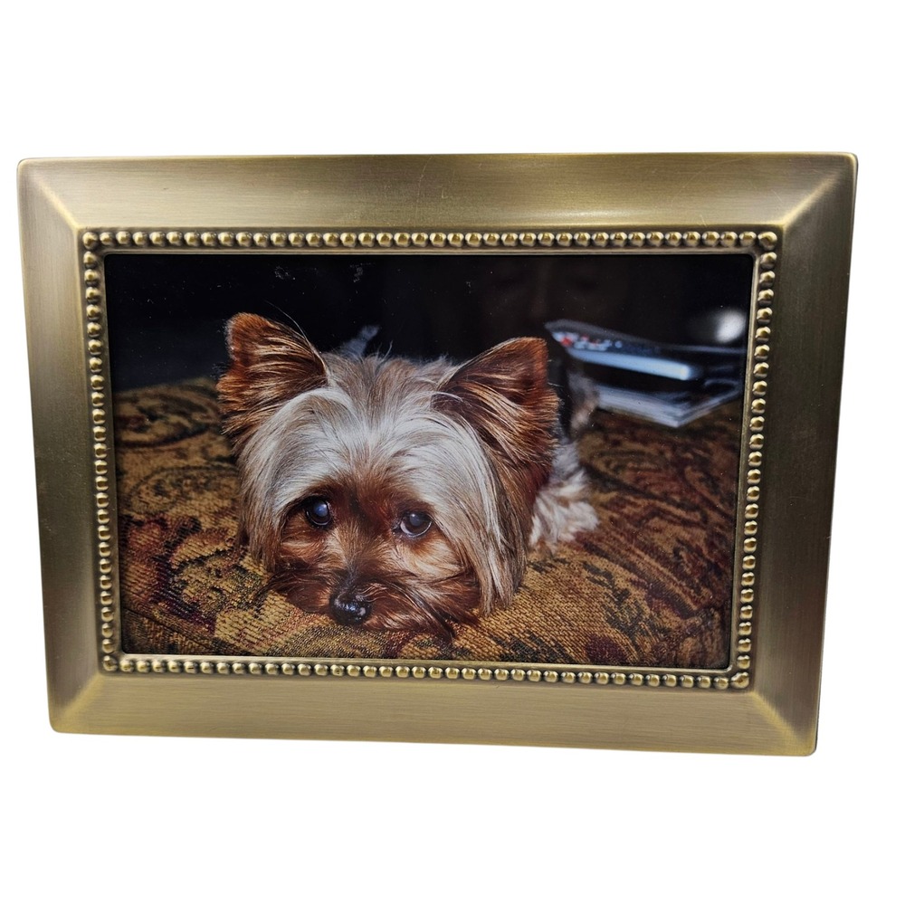 Bronze Beaded Picture Frame Display‎ Yorkie Photo Art Decor MSE Tabletop